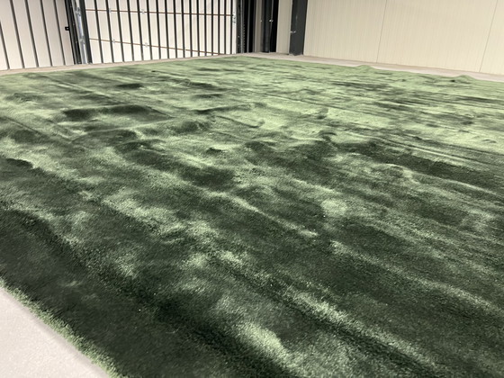 Image 1 of Tapis Brink et Campman Liscio Vert