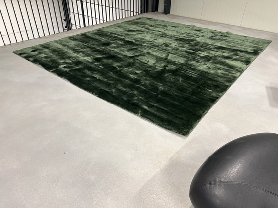 Image 1 of Tapis Brink et Campman Liscio Vert