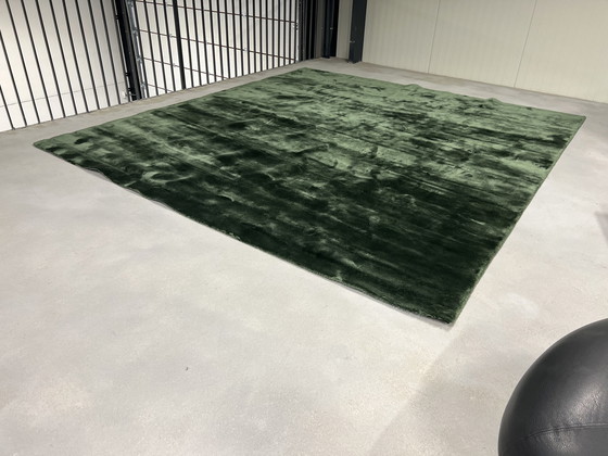 Image 1 of Tapis Brink et Campman Liscio Vert