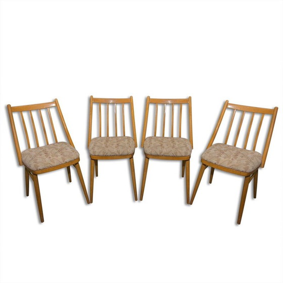 Image 1 of Set of 4 vintage beechwood chairs by Antonín Šuman for Mier, 1960