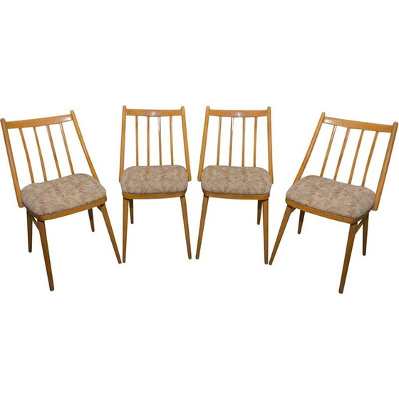 Image 1 of Set of 4 vintage beechwood chairs by Antonín Šuman for Mier, 1960