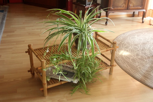 Flower bench - Magazine rack - Bamboo - Vintage