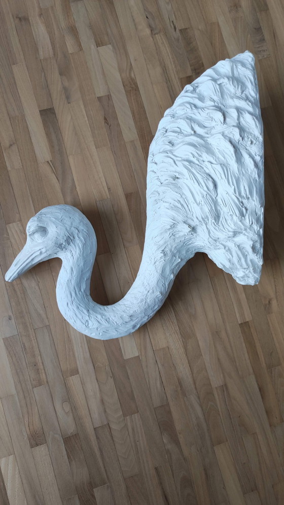 Image 1 of 2X Struzzo