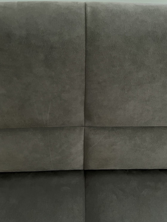 Image 1 of Sofá Leolux Felizia de 2,5 plazas con tapizado de Alcantara color topo