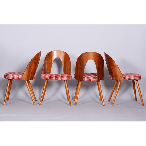 Image 1 of Set of 4 vintage beechwood, walnut and fabric chairs by Antonin Suman, Czechia 1950