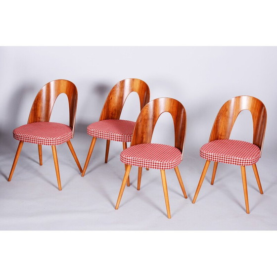 Image 1 of Set of 4 vintage beechwood, walnut and fabric chairs by Antonin Suman, Czechia 1950