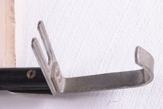 Image 1 of Vintage Organic wall school card W.Gummert frog 60s