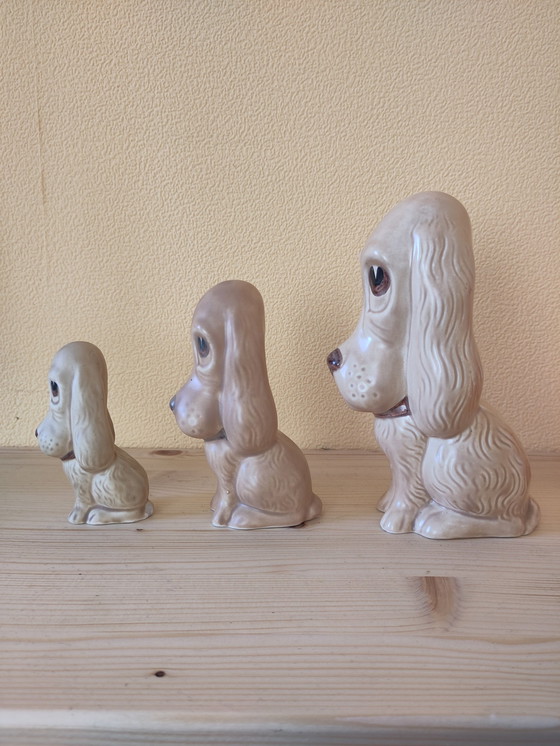 Image 1 of Cani tristi - Spaniel triste - Sam triste - Di Sylvac