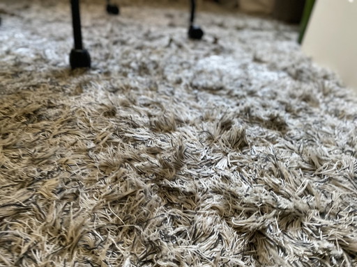 Kinast high pile carpet