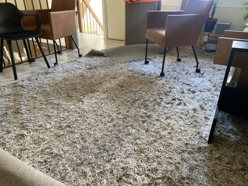 Kinast high pile carpet