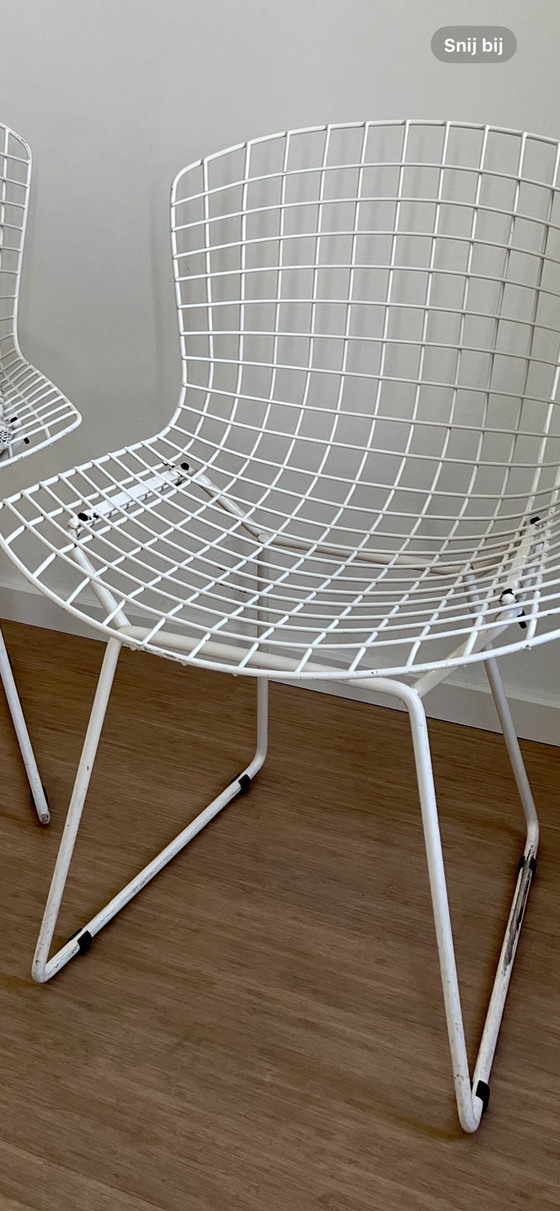 Image 1 of 2x Knoll Harry Bertoia chaise blanche