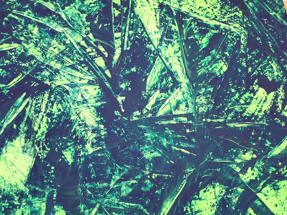 Image 1 of Jürgen Angeler - 3D Jungle