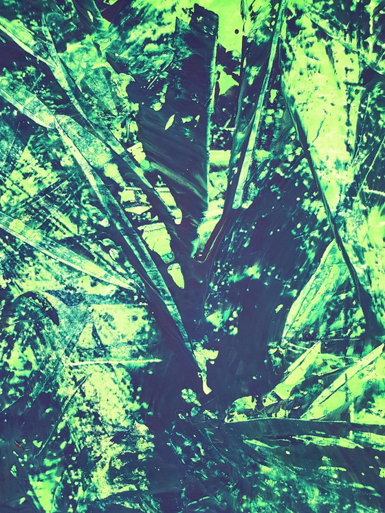 Image 1 of Jürgen Angeler - 3D Jungle