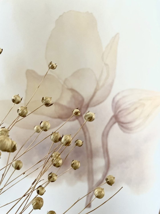 Image 1 of Fine Art Print Framed: Anemone