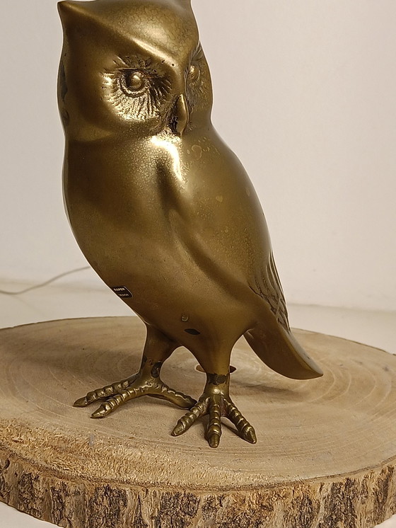 Image 1 of Caravell Design Owl.