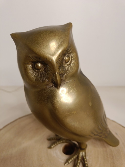 Caravell Design Owl.