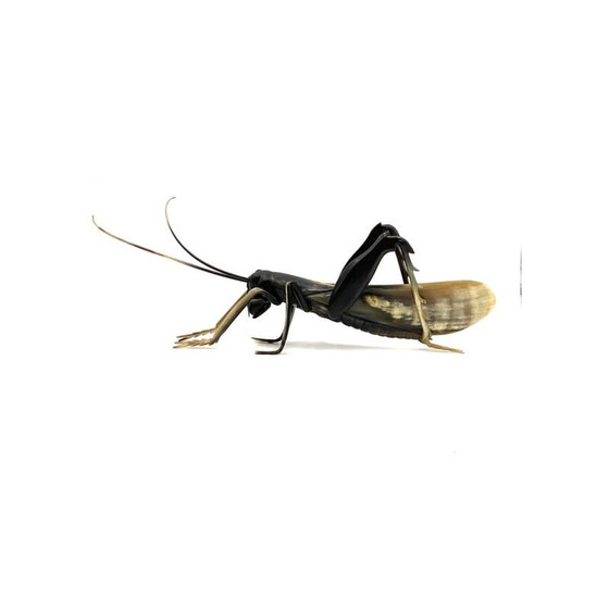 Image 1 of Mid-century hand-crafted horn Grasshopper, France 1960s