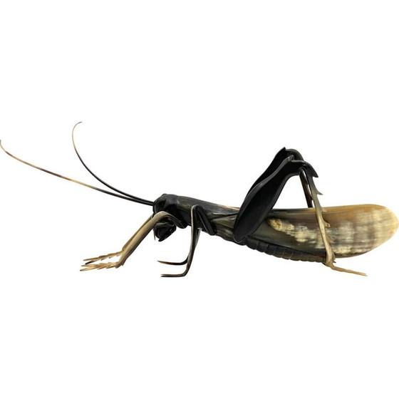 Image 1 of Mid-century hand-crafted horn Grasshopper, France 1960s