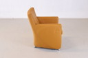 Leolux Dolcinea armchair