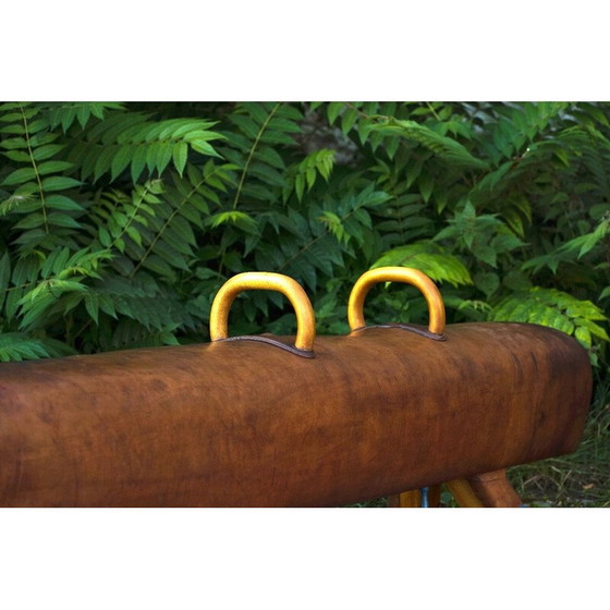 Image 1 of Vintage gymnastic leather pommel horse bench with wooden handles, 1920s