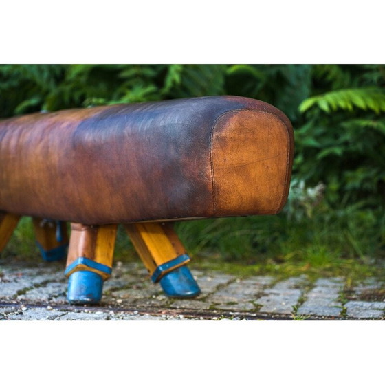 Image 1 of Vintage gymnastic leather pommel horse bench with wooden handles, 1920s
