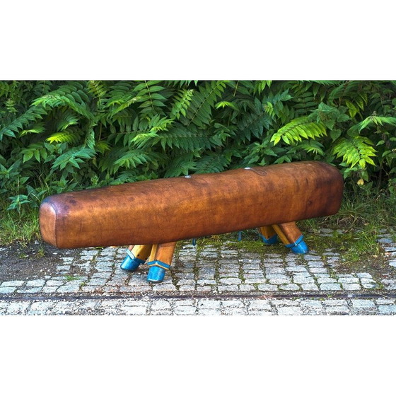 Image 1 of Vintage gymnastic leather pommel horse bench with wooden handles, 1920s