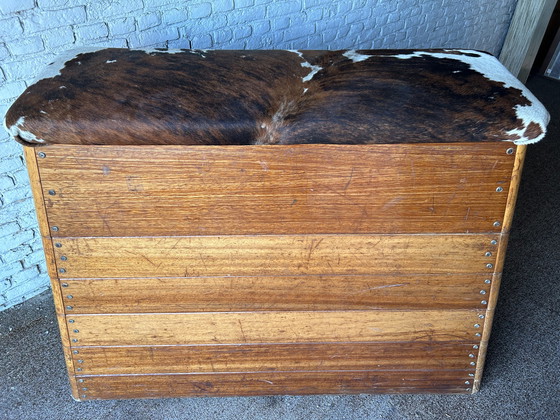 Image 1 of Vintage plinth cabinet gymnasium