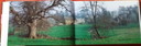 Panoramas de pueblos ingleses