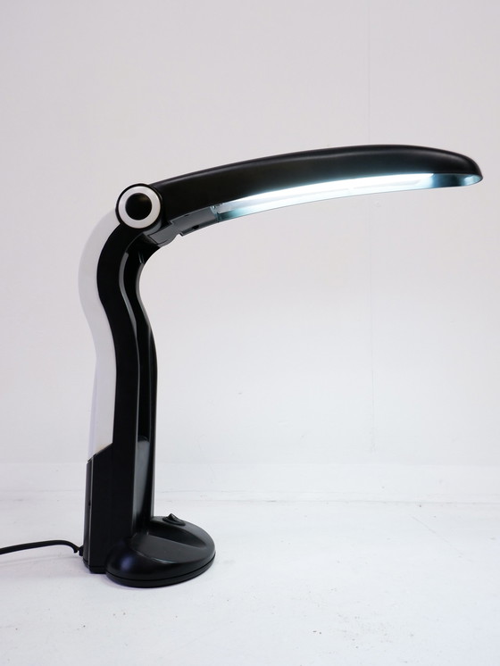 Image 1 of Toucan table lamp by HT Huang