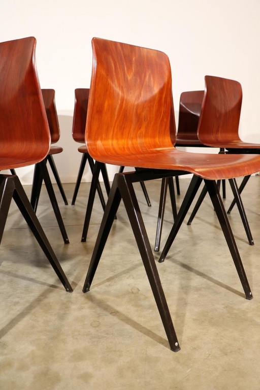 10 Calvanitas S19 chairs