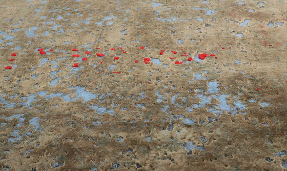 Image 1 of Tappeto reale d&#39;epoca