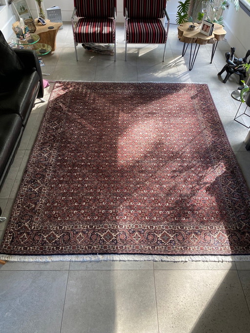 Oriental Rug Dim. 200 X 240 Cm