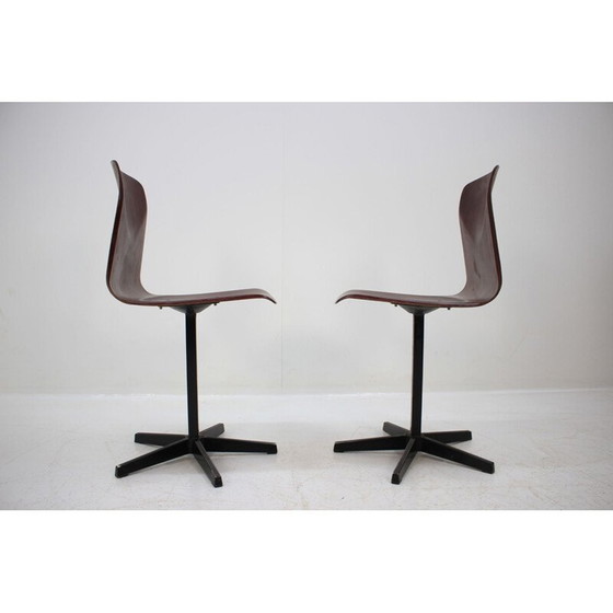 Image 1 of Pair of vintage dining chairs by Elmar Flötotto for Pagholz, 1970