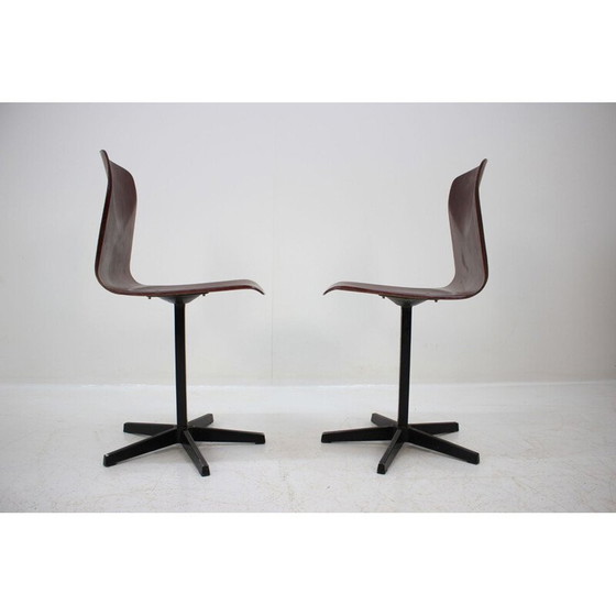 Image 1 of Pair of vintage dining chairs by Elmar Flötotto for Pagholz, 1970
