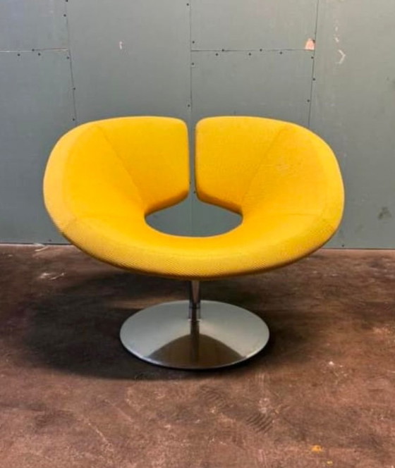 Image 1 of Artifort Apollo armchair