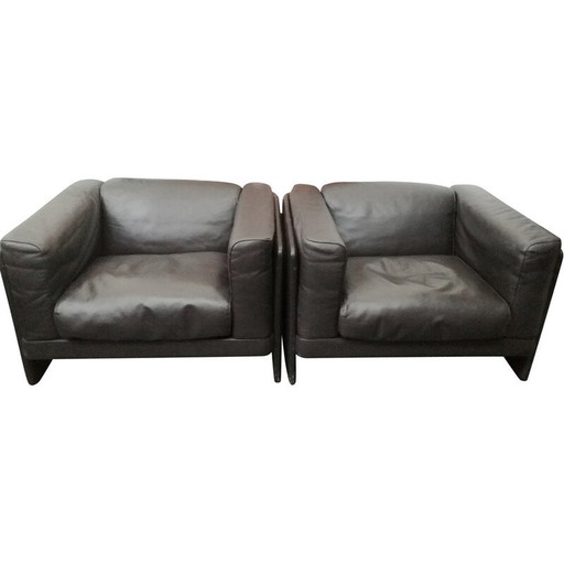 Pair of vintage "le capanelle" armchairs by Tito Agnioli for Poltrona Frau, 1980