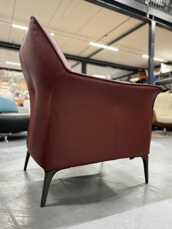 Image 1 of Leolux Mayuro Armchair Ceras Maroon Leather