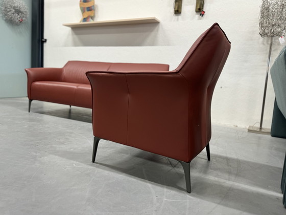 Image 1 of Leolux Mayuro Armchair Ceras Maroon Leather