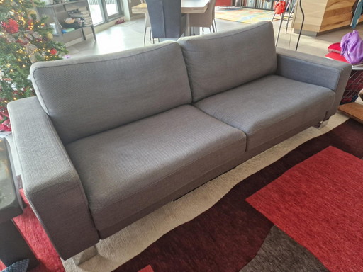 Designer Sofa Rolf Benz In Perfect Condition For Sale