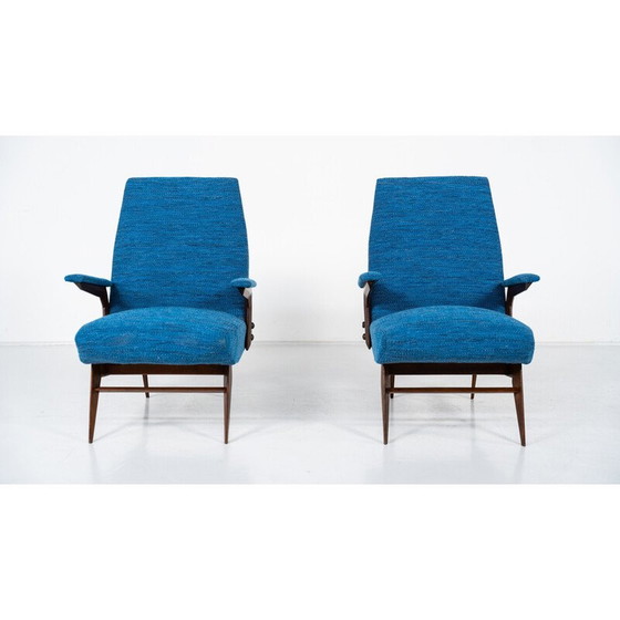 Image 1 of Pair of vintage armchairs by Vittorio Dassi, Italy 1960