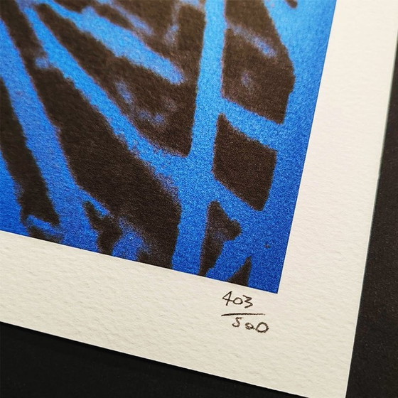 Image 1 of Litografia in edizione limitata "Butterfly" di Andy Warhol degli anni '80 realizzata da Cmoa.