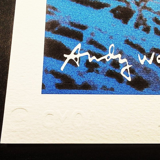 Image 1 of Litografia in edizione limitata "Butterfly" di Andy Warhol degli anni '80 realizzata da Cmoa.