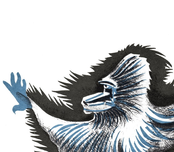 Image 1 of Original Jean Lurçat lithograph "Andalusian Monkey".