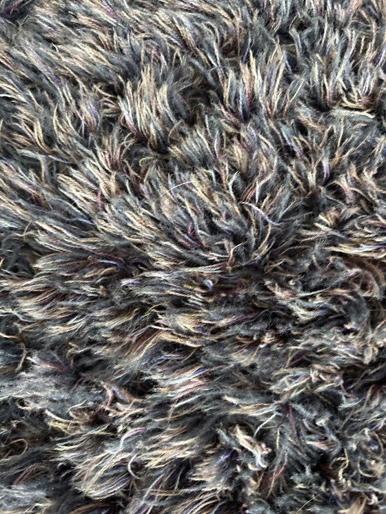 Image 1 of Carpet Sauvage