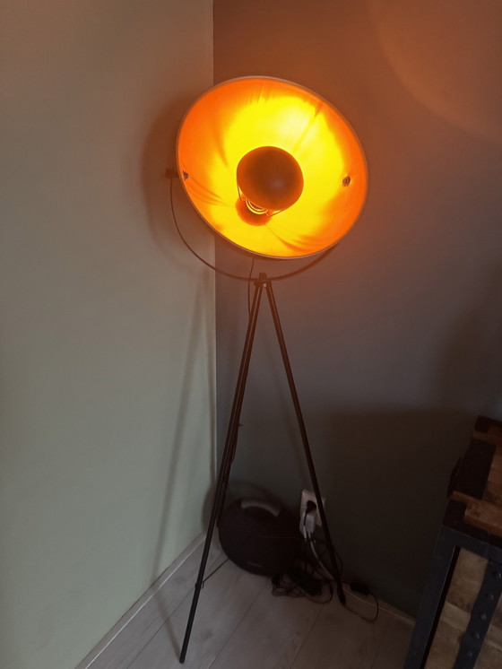 Image 1 of Minerva Floor Lamp