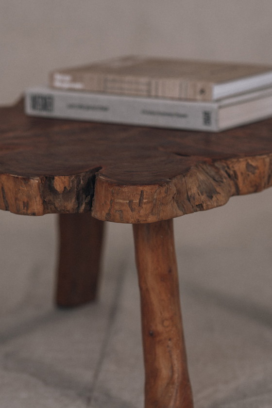 Image 1 of Brutalist tree trunk side table