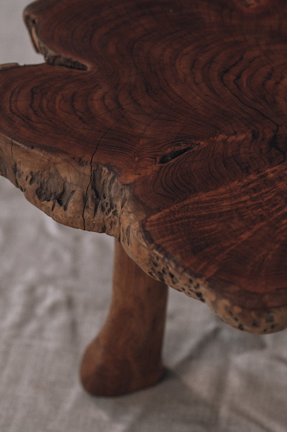 Image 1 of Brutalist tree trunk side table