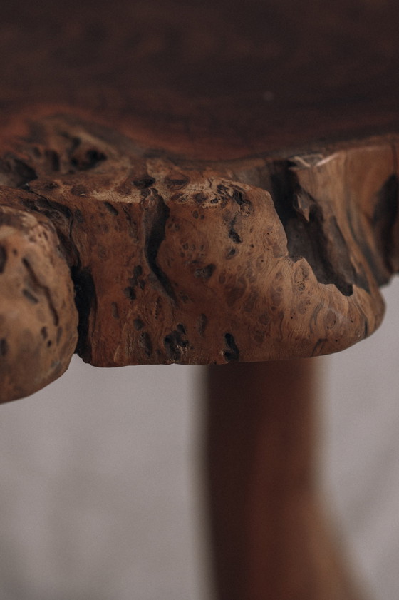 Image 1 of Brutalist tree trunk side table