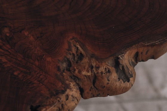 Image 1 of Brutalist tree trunk side table