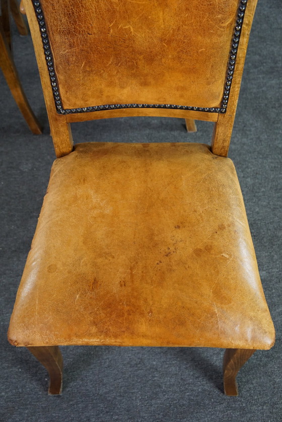 Image 1 of Set of six sheep leather dining chairs with light wood frame